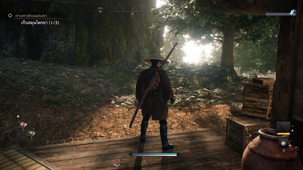 Review Rise of the Ronin