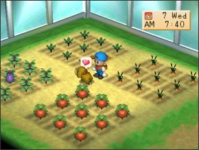 7 สิ่งในเกม Harvest Moon ที่ผู้เล่นอยากให้เป็นความจริง 4 7 สิ่งในเกม Harvest Moon ที่ผู้เล่นอยากให้เป็นความจริง