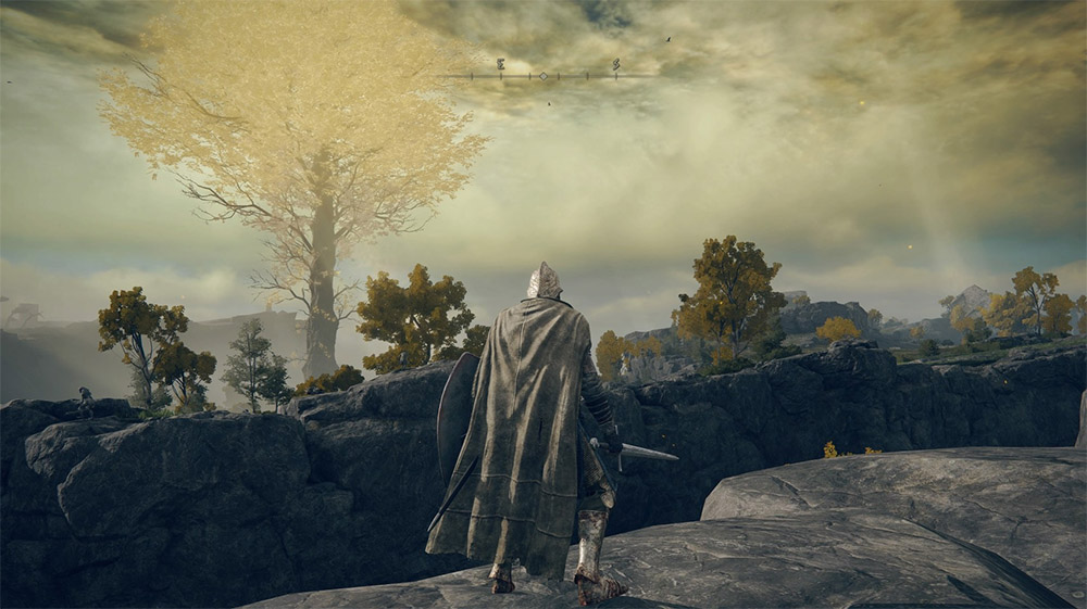 Elden Ring Screenshot1