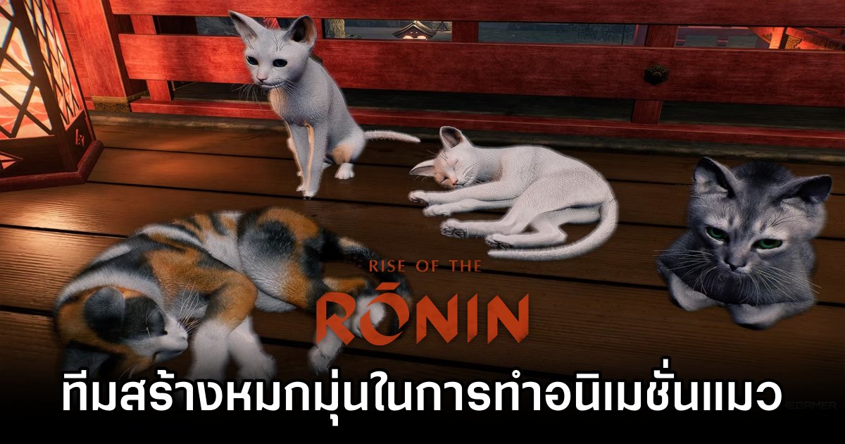 ทีมสร้าง Rise of the Ronin ยอมรับ 'หมกมุ่นในการทำอนิเมชั่นน้องแมวมาก' 1 Rise of the Ronin Devs Went Overboard on Cats