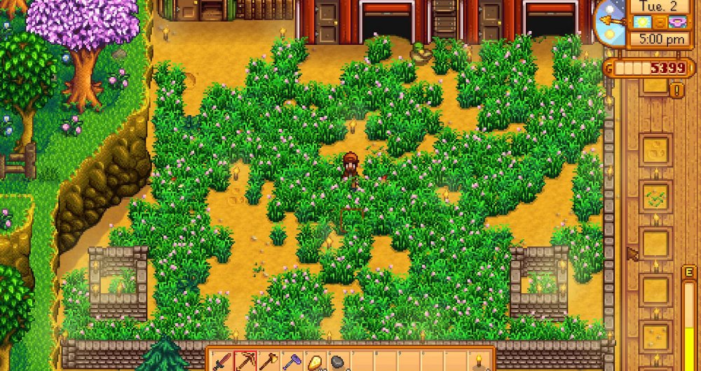 10 ข้อผิดพลาดที่ผู้เล่น Stardew Valley มือใหม่ชอบทำ 3 10 Mistakes New Players Make In Stardew Valley