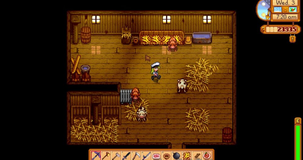 10 ข้อผิดพลาดที่ผู้เล่น Stardew Valley มือใหม่ชอบทำ 6 10 Mistakes New Players Make In Stardew Valley
