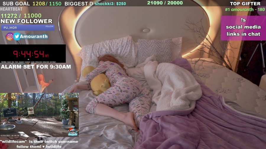 Amouranth ทำเงินได้มากกว่า 70 ล้านบาทเพียงแค่นอนให้ดู! 2 Amouranth ทำเงินได้มากกว่า 70 ล้านบาทเพียงแค่นอนให้ดู!