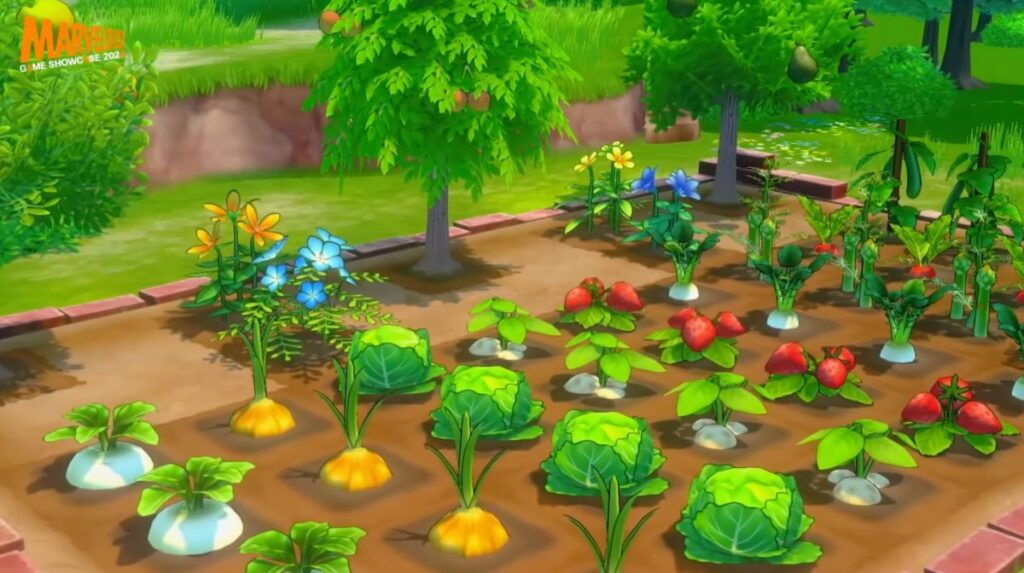 Story of Seasons ภาคใหม่ เผยวิดีโอตัวอย่างเพิ่มเติมแล้ว 5 story of seasons