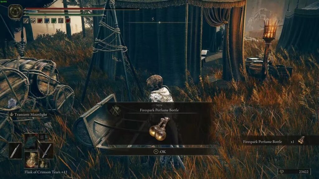 Best StrDex Weapon in Early Elden Ring Shadow Of The Erdtree