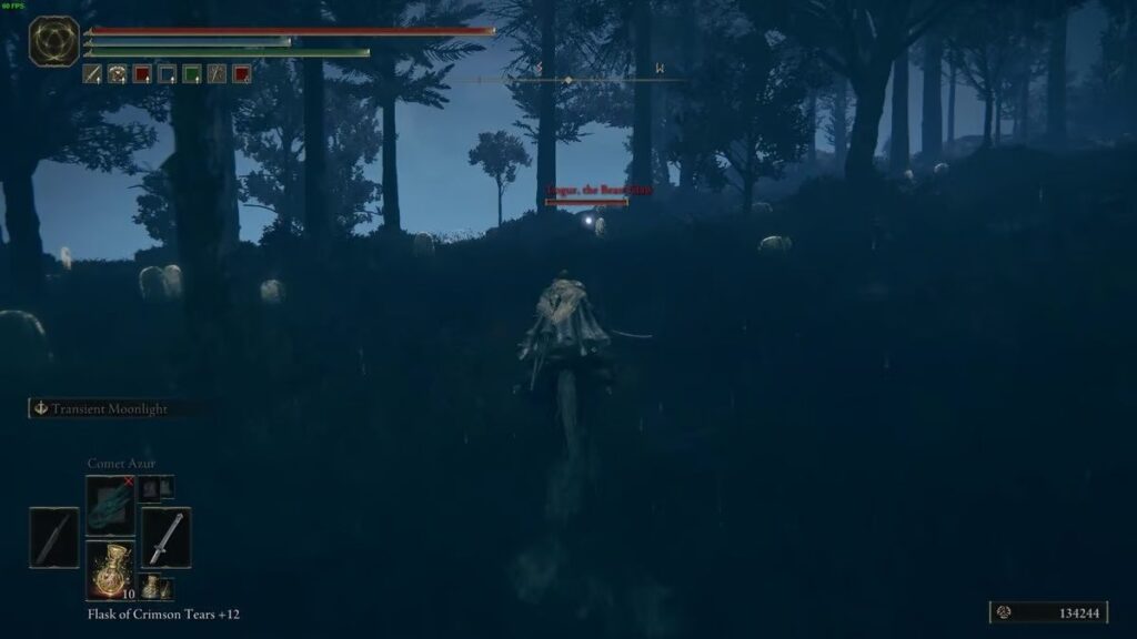 Best StrDex Weapon in Early Elden Ring Shadow Of The Erdtree