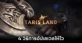 Tarisland Leveling Guide