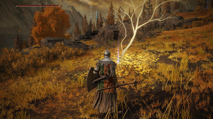 6 วิธีเตรียมตัวให้พร้อมลุย Elden Ring Shadow of Erdtree 7 6 Tips prepare for Elden Ring Shadow of Erdtree