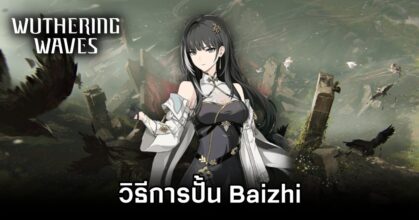 Baizhi Wuthering Waves Build Guide