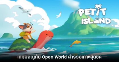Petit Island main feature