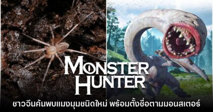 ชาวจีนตั้งชื่อแมงมุมสกุลใหม่ตามมอนสเตอร์ใน Monster Hunter