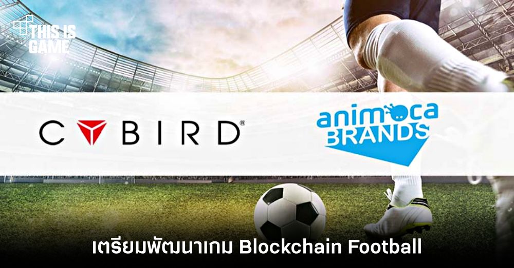 CYBIRD และ Animoca Brands เตรียมพัฒนาเกมฟุตบอลในชื่อ Blockchain Football 1 CYBIRD และ Animoca Brands เตรียมพัฒนาเกมฟุตบอลในชื่อ Blockchain Football