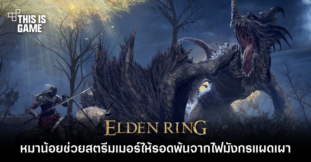 หมาน้อยช่วยสตรีมเมอร์ Elden Ring ให้รอดพ้นจากไฟมังกรแผดเผา 1 หมาน้อยช่วยสตรีมเมอร์ Elden Ring ให้รอดพ้นจากไฟมังกรแผดเผา