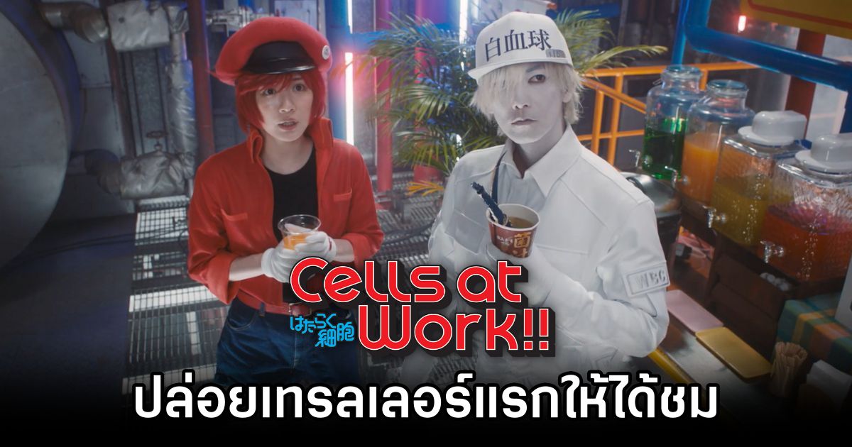 เซลล์ขยันพันธุ์เดือด Live Action ปล่อยเทรลเลอร์แรกให้ได้ชม 1 Cells at Work Live Action Movie Shares New Trailer เซลล์ขยันพันธ์เดือด Live Action ปล่อยเทรลเลอร์แรกให้ได้ชม