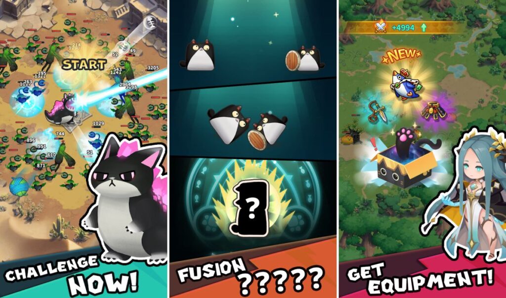 MeowZilla Launched