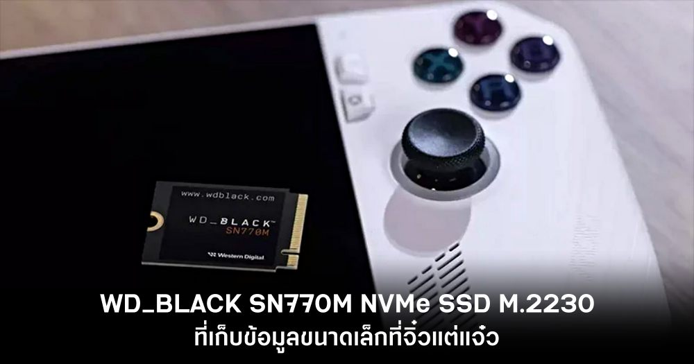 WD_BLACK SN770M NVMe SSD-Review Feature