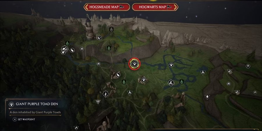 Hogwarts Legacy - วิธีตามหา Giant Purple Toads 2 Hogwarts Legacy - วิธีตามหา Giant Purple Toads