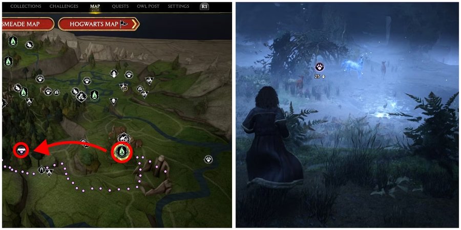 Hogwarts Legacy - วิธีการตามหา และจับ Unicorn 2 Hogwarts Legacy - วิธีการตามหา และจับ Unicorn