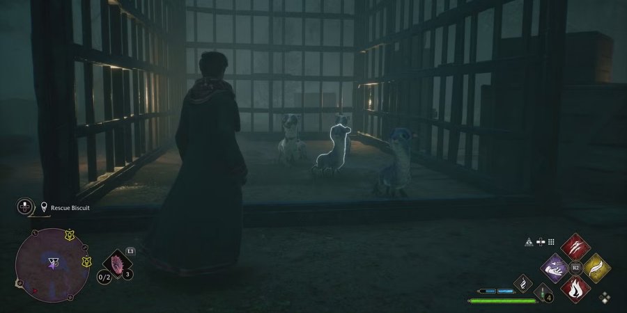 Hogwarts Legacy - วิธีการทำไซด์เควส Take the Biscuit 3 Hogwarts Legacy - วิธีการทำไซด์เควส Take the Biscuit
