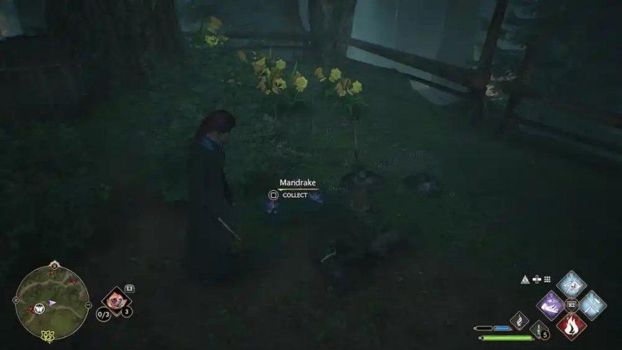 Hogwarts Legacy - วิธีการตามหา Mandrakes 4 Hogwarts Legacy - วิธีการตามหา Mandrakes