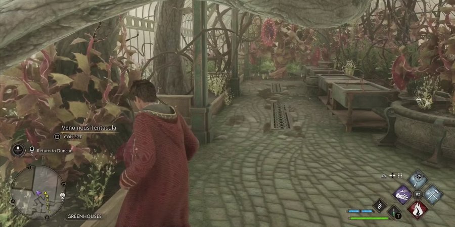 Hogwarts Legacy - วิธีการทำไซด์เควส Venomous Revenge 3 Hogwarts Legacy - วิธีการทำไซด์เควส Venomous Revenge