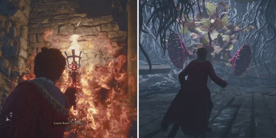 Hogwarts Legacy - วิธีการทำไซด์เควส Venomous Valour 3 Hogwarts Legacy - วิธีการทำไซด์เควส Venomous Valour