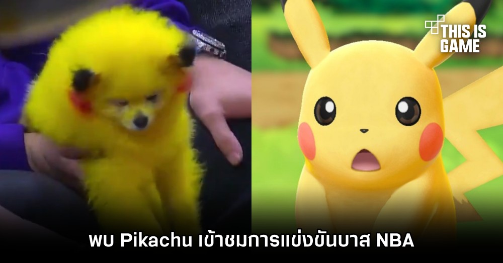 พบ Pikachu เข้าชมการแข่งขันบาส NBA 1 พบ Pikachu เข้าชมการแข่งขันบาส NBA