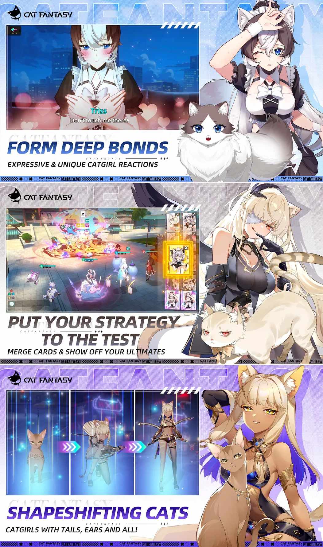 น้องแมวลุยอิสเซไก ! Cat Fantasy: Isekai Adventure เปิดให้บริการเต็มรูปแบบแล้ว เมี๊ยววว ! 3 Cat Fantasy