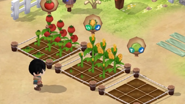 แนะนำภาพรวมเกม Morning Moon Village เกมปลูกผัก NFT สัญชาติไทย 4 แนะนำภาพรวมเกม Morning Moon Village เกมปลูกผัก NFT สัญชาติไทย