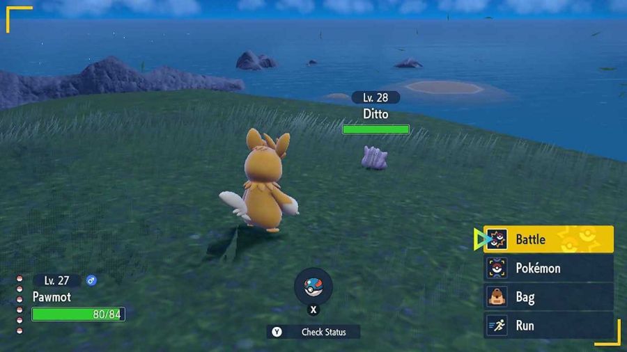 เผยตำแหน่งตามหา Ditto ใน Pokémon Scarlet and Violet 3 เผยตำแหน่งตามหา Ditto ใน Pokémon Scarlet and Violet