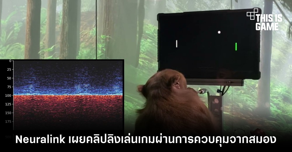 Neuralink เผยคลิปลิงเล่นเกมผ่านการควบคุมจากสมอง 1 Neuralink เผยคลิปลิงเล่นเกมผ่านการควบคุมจากสมอง
