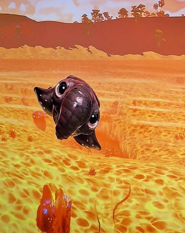 ผู้เล่น No Man's Sky พบเอเลี่ยนหมูเด้งบนดาวดวงหนึ่งโดยบังเอิญ 2 ผู้เล่น No Man's Sky พบเอเลี่ยนหมูเด้งบนดาวดวงหนึ่งโดยบังเอิญ
