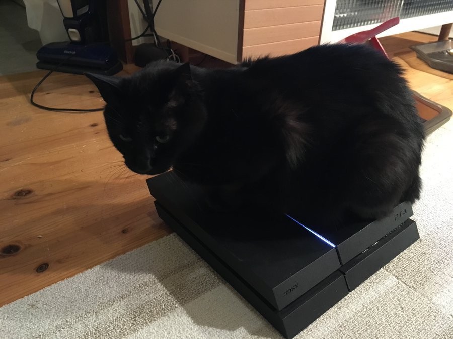แม้แต่แมวยังไม่โอเค! การอัปเกรดเครื่องเกมเป็น PS5 Pro อาจทำน้องเหมียวไม่ปลื้ม 2 แม้แต่แมวยังไม่โอเค! การอัปเกรดเครื่องเกมเป็น PS5 Pro อาจทำน้องเหมียวไม่ปลื้ม