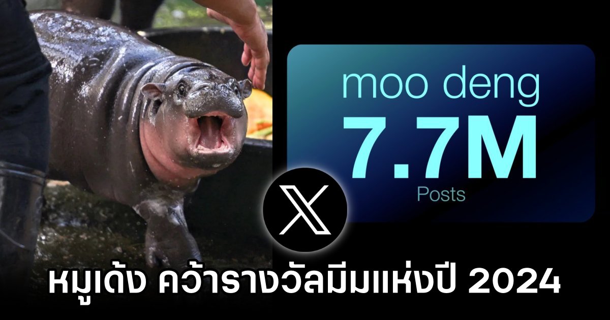 หมูเด้ง คว้ารางวัลมีมแห่งปี 2024 บน X 1 Moo Deng Crowns Meme King on X