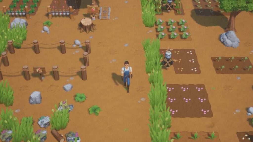 Coral Island เปิดทดสอบระบบ Multiplayer Co-op 4 คนแล้ว 3 Coral Island