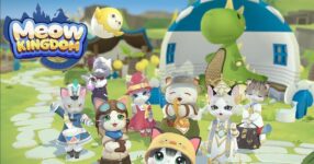 Meow Kingdom D
