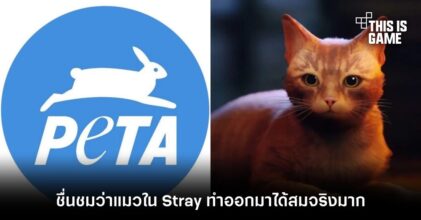 องค์กรพิทักษ์สัตว์ ออกมาชื่นชมว่าแมวใน Stray ทำออกมาได้สมจริงมาก