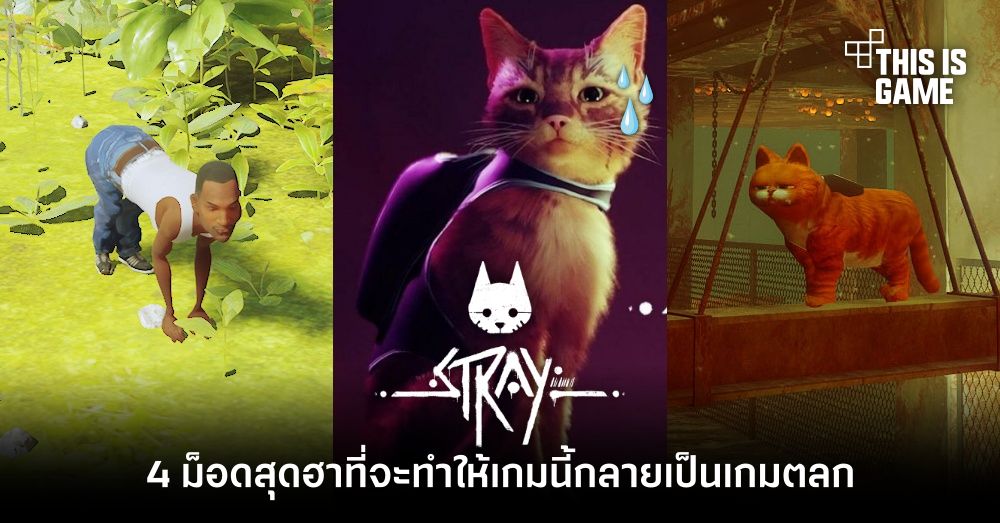 4 ม็อดสุดฮาที่จะทำให้ Stray กลายเป็นเกมตลก 1 4 ม็อดสุดฮาที่จะทำให้ Stray กลายเป็นเกมตลก