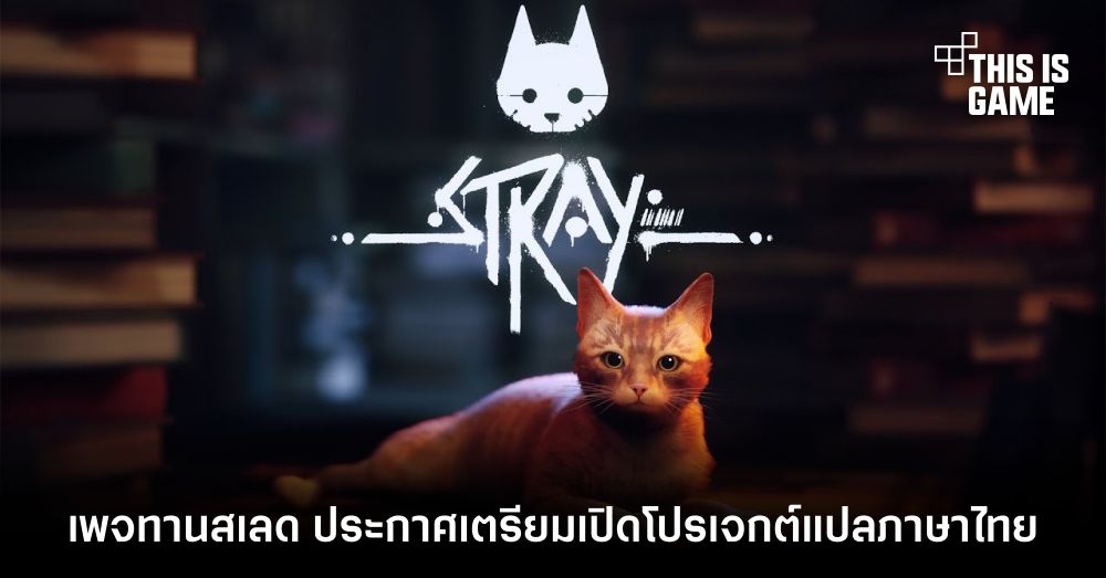 อย่างไว! เพจทานสเลด ประกาศเตรียมเปิดโปรเจกต์แปลภาษาไทยเกม Stray