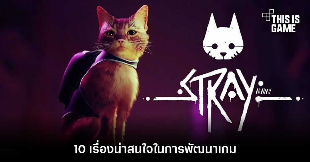 10 เรื่องน่าสนใจในการพัฒนาเกม Stray 1 10 เรื่องน่าสนใจในการพัฒนาเกม Stray