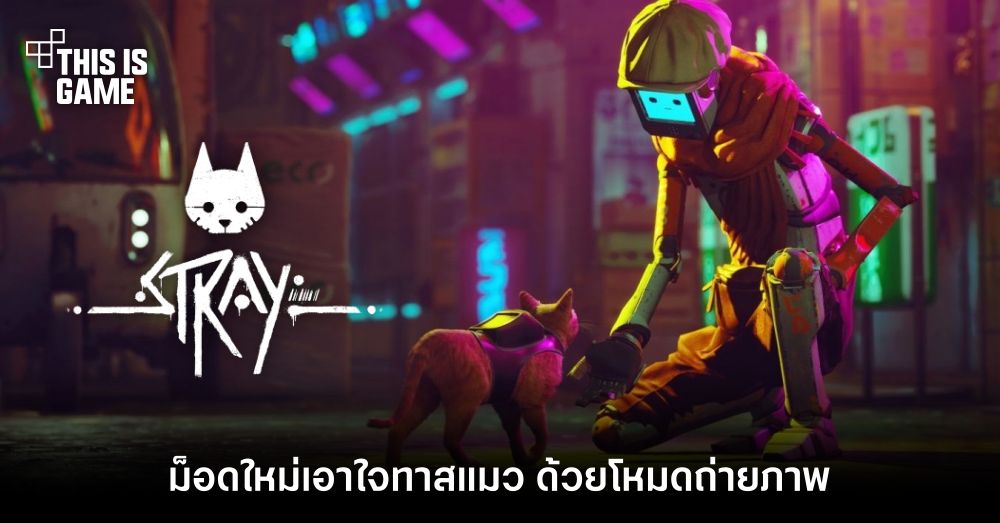 ม็อดใหม่ Stray เอาใจทาสแมว ด้วยโหมดถ่ายภาพ
