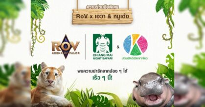 RoV จับมือเชียงใหม่ไนท์ซาฟารีและสวนสัตว์เปิดเขาเขียว เปิดตัวคอลแลบสุดยิ่งใหญ่กับ เอวา และ หมูเด้ง