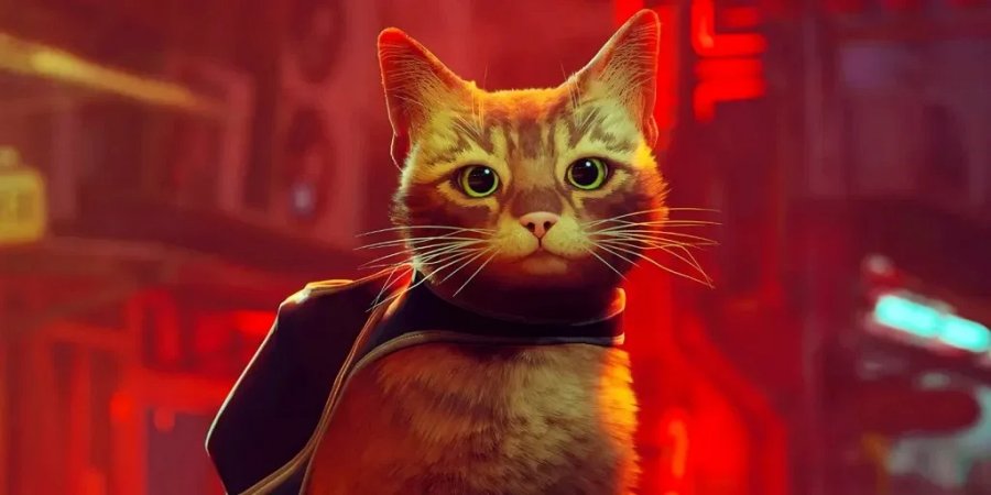 10 เรื่องน่าสนใจในการพัฒนาเกม Stray 8 10 เรื่องน่าสนใจในการพัฒนาเกม Stray