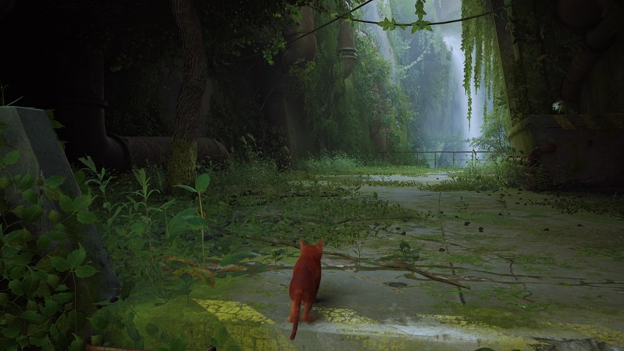 [รีวิว] Stray – เกมแมวมืดที่กุมหัวใจของทาสแมวทั่วโลก