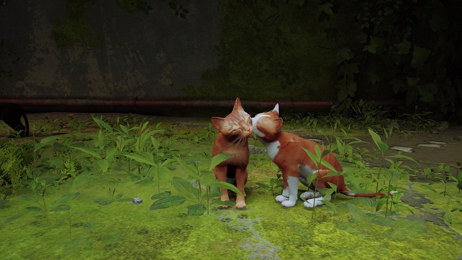 [รีวิว] Stray – เกมแมวมืดที่กุมหัวใจของทาสแมวทั่วโลก
