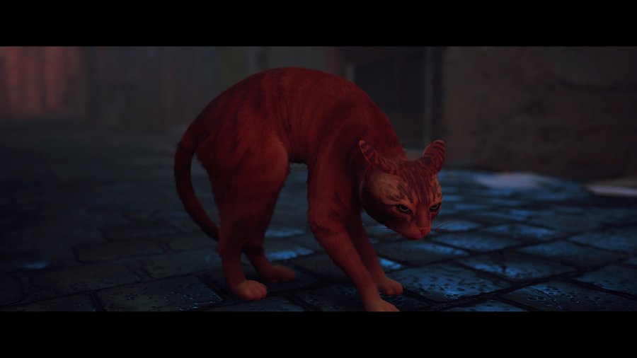 [รีวิว] Stray – เกมแมวมืดที่กุมหัวใจของทาสแมวทั่วโลก