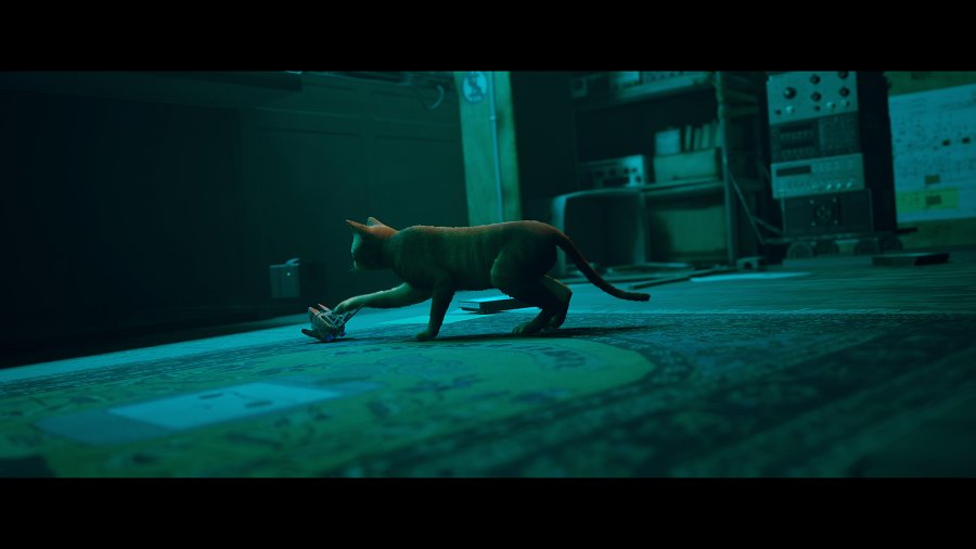 [รีวิว] Stray – เกมแมวมืดที่กุมหัวใจของทาสแมวทั่วโลก