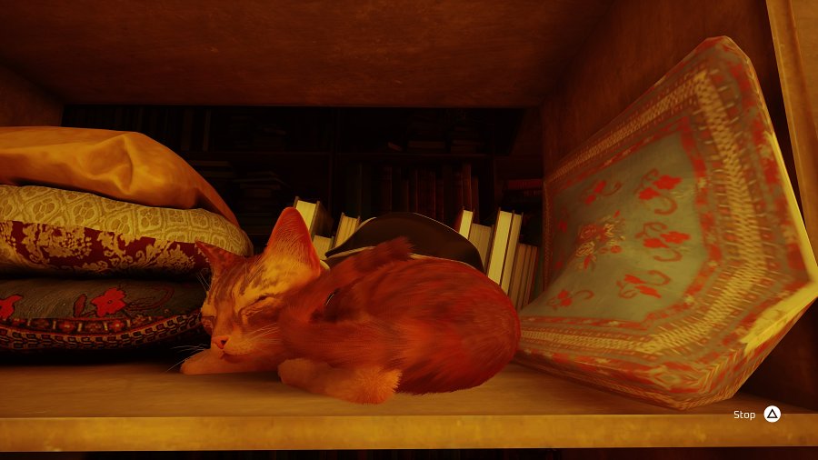[รีวิว] Stray – เกมแมวมืดที่กุมหัวใจของทาสแมวทั่วโลก
