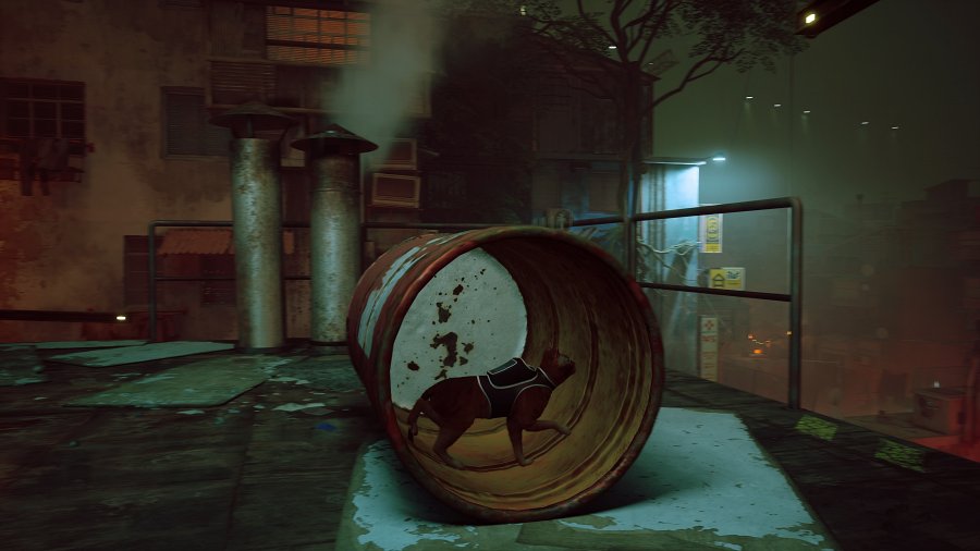 [รีวิว] Stray – เกมแมวมืดที่กุมหัวใจของทาสแมวทั่วโลก
