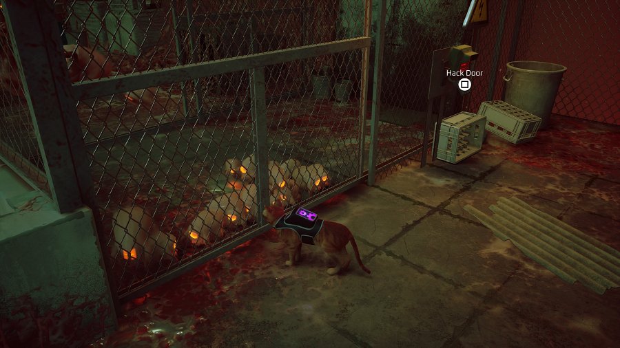 [รีวิว] Stray – เกมแมวมืดที่กุมหัวใจของทาสแมวทั่วโลก